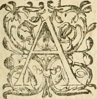 An illustration from Architecture de Philibert de l'Orme ... : uure entiere contenant onze livres, augmentée de deux, & autres figures non encores veuës, tant pour desseins qu'ornemens de maisons : avec vne belle inuention pour bien bastir, & à petits fraiz .. (1626)