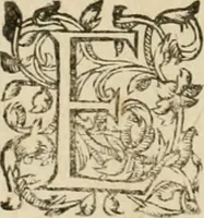 An illustration from Architecture de Philibert de l'Orme ... : uure entiere contenant onze livres, augmentée de deux, & autres figures non encores veuës, tant pour desseins qu'ornemens de maisons : avec vne belle inuention pour bien bastir, & à petits fraiz .. (1626)