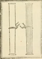 Picture 273 of 469 from Architecture de Philibert de l'Orme ... : uure entiere contenant onze livres, augmentée de deux, & autres figures non encores veuës, tant pour desseins qu'ornemens de maisons : avec vne belle inuention pour bien bastir, & à petits fraiz .. (1626), leaf 416