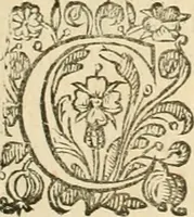 An illustration from Architecture de Philibert de l'Orme ... : uure entiere contenant onze livres, augmentée de deux, & autres figures non encores veuës, tant pour desseins qu'ornemens de maisons : avec vne belle inuention pour bien bastir, & à petits fraiz .. (1626)