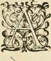 An illustration from Architecture de Philibert de l'Orme ... : uure entiere contenant onze livres, augmentée de deux, & autres figures non encores veuës, tant pour desseins qu'ornemens de maisons : avec vne belle inuention pour bien bastir, & à petits fraiz .. (1626)