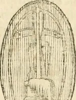 An illustration from Architecture de Philibert de l'Orme ... : uure entiere contenant onze livres, augmentée de deux, & autres figures non encores veuës, tant pour desseins qu'ornemens de maisons : avec vne belle inuention pour bien bastir, & à petits fraiz .. (1626)