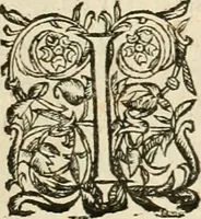 An illustration from Architecture de Philibert de l'Orme ... : uure entiere contenant onze livres, augmentée de deux, & autres figures non encores veuës, tant pour desseins qu'ornemens de maisons : avec vne belle inuention pour bien bastir, & à petits fraiz .. (1626)