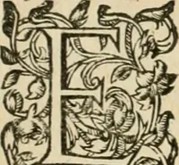 An illustration from Architecture de Philibert de l'Orme ... : uure entiere contenant onze livres, augmentée de deux, & autres figures non encores veuës, tant pour desseins qu'ornemens de maisons : avec vne belle inuention pour bien bastir, & à petits fraiz .. (1626)