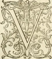 Picture 433 of 469 from Architecture de Philibert de l'Orme ... : uure entiere contenant onze livres, augmentée de deux, & autres figures non encores veuës, tant pour desseins qu'ornemens de maisons : avec vne belle inuention pour bien bastir, & à petits fraiz .. (1626), leaf 626