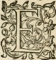 An illustration from Architecture de Philibert de l'Orme ... : uure entiere contenant onze livres, augmentée de deux, & autres figures non encores veuës, tant pour desseins qu'ornemens de maisons : avec vne belle inuention pour bien bastir, & à petits fraiz .. (1626)