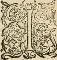An illustration from Architecture de Philibert de l'Orme ... : uure entiere contenant onze livres, augmentée de deux, & autres figures non encores veuës, tant pour desseins qu'ornemens de maisons : avec vne belle inuention pour bien bastir, & à petits fraiz .. (1626)