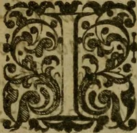 An illustration from The elements of architecture (1624)