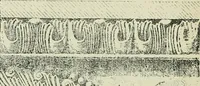 An illustration from Architecture in Italy, from the sixth to the eleventh century; historical and critical researches (1896)