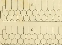 An illustration from The architecture of country houses : including designs for cottages, farm houses, and villas, with remarks on interiors, furniture, and the best modes of warming and ventilating (1851)