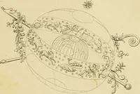 Picture 9 of 23 from The architecture of Marcus Vitruvius Pollio : in ten books (1826), leaf 304