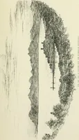 An illustration from The architecture of Provence and the Riviera (1888)