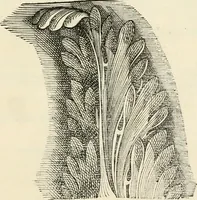 An illustration from Architecture, ou, Art de bien bastir (1547)