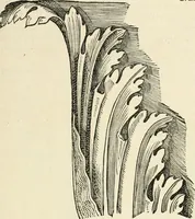 An illustration from Architecture, ou, Art de bien bastir (1547)