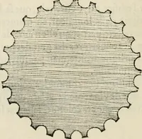 An illustration from Architecture, ou, Art de bien bastir (1547)