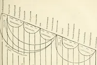 Picture 98 of 170 from Architecture, ou, Art de bien bastir (1547), leaf 162