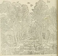 An illustration from Architecture, ou, Art de bien bastir (1547)