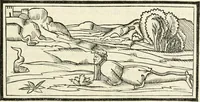 Picture 133 of 170 from Architecture, ou, Art de bien bastir (1547), leaf 238