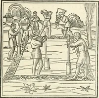 Picture 138 of 170 from Architecture, ou, Art de bien bastir (1547), leaf 258