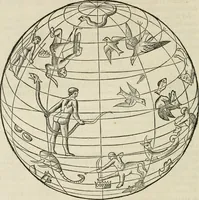 Picture 145 of 170 from Architecture, ou, Art de bien bastir (1547), leaf 275