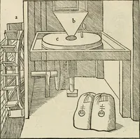 Picture 159 of 170 from Architecture, ou, Art de bien bastir (1547), leaf 303