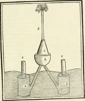 Picture 161 of 170 from Architecture, ou, Art de bien bastir (1547), leaf 306