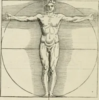 An illustration from Architecture, ou, Art de bien bastir (1547)