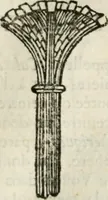 An illustration from Architecture pratique : qui comprend la construction générale et particuliere des bâtimens, le détail, les toisé et devis de chaque partie ... : avec une explication et une conférence de trente-six articles de la coutume de Paris, sur le titre des servitudes & rapports qui concernent les bâtimens, & de l'ordonnance de 1673 (1780)
