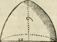 An illustration from Architecture pratique : qui comprend la construction générale et particuliere des bâtimens, le détail, les toisé et devis de chaque partie ... : avec une explication et une conférence de trente-six articles de la coutume de Paris, sur le titre des servitudes & rapports qui concernent les bâtimens, & de l'ordonnance de 1673 (1780)