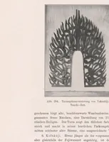 An illustration from Die Architektur der Kultbauten Japans (1907)