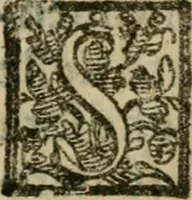 An illustration from Manuale d'architettura : breue, e risoluta prattica (1629)