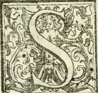 An illustration from Architettura ciuile demostratiuamente proportionata et accresciuta di nuoue regole : con l'vso delle quali si facilita l'inuentione d'ogni douuta proportione nelli cinque ordini, e col ritrouamento d'vn nuouo strumento angolare, si da il modo à gl'operarij medesimi di pratticamente stabilire le sacome in ogni loro necessario contorno (1661)