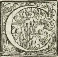 An illustration from Architettura ciuile demostratiuamente proportionata et accresciuta di nuoue regole : con l'vso delle quali si facilita l'inuentione d'ogni douuta proportione nelli cinque ordini, e col ritrouamento d'vn nuouo strumento angolare, si da il modo à gl'operarij medesimi di pratticamente stabilire le sacome in ogni loro necessario contorno (1661)