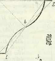 An illustration from Architettura ciuile demostratiuamente proportionata et accresciuta di nuoue regole : con l'vso delle quali si facilita l'inuentione d'ogni douuta proportione nelli cinque ordini, e col ritrouamento d'vn nuouo strumento angolare, si da il modo à gl'operarij medesimi di pratticamente stabilire le sacome in ogni loro necessario contorno (1661)