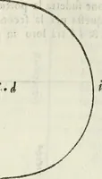 An illustration from Architettura ciuile demostratiuamente proportionata et accresciuta di nuoue regole : con l'vso delle quali si facilita l'inuentione d'ogni douuta proportione nelli cinque ordini, e col ritrouamento d'vn nuouo strumento angolare, si da il modo à gl'operarij medesimi di pratticamente stabilire le sacome in ogni loro necessario contorno (1661)