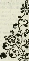 An illustration from Architettura ciuile demostratiuamente proportionata et accresciuta di nuoue regole : con l'vso delle quali si facilita l'inuentione d'ogni douuta proportione nelli cinque ordini, e col ritrouamento d'vn nuouo strumento angolare, si da il modo à gl'operarij medesimi di pratticamente stabilire le sacome in ogni loro necessario contorno (1661)