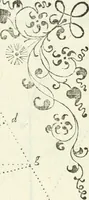 An illustration from Architettura ciuile demostratiuamente proportionata et accresciuta di nuoue regole : con l'vso delle quali si facilita l'inuentione d'ogni douuta proportione nelli cinque ordini, e col ritrouamento d'vn nuouo strumento angolare, si da il modo à gl'operarij medesimi di pratticamente stabilire le sacome in ogni loro necessario contorno (1661)