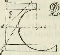 An illustration from Architettura ciuile demostratiuamente proportionata et accresciuta di nuoue regole : con l'vso delle quali si facilita l'inuentione d'ogni douuta proportione nelli cinque ordini, e col ritrouamento d'vn nuouo strumento angolare, si da il modo à gl'operarij medesimi di pratticamente stabilire le sacome in ogni loro necessario contorno (1661)