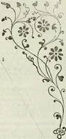 An illustration from Architettura ciuile demostratiuamente proportionata et accresciuta di nuoue regole : con l'vso delle quali si facilita l'inuentione d'ogni douuta proportione nelli cinque ordini, e col ritrouamento d'vn nuouo strumento angolare, si da il modo à gl'operarij medesimi di pratticamente stabilire le sacome in ogni loro necessario contorno (1661)