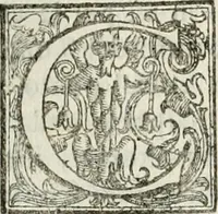 An illustration from Architettura ciuile demostratiuamente proportionata et accresciuta di nuoue regole : con l'vso delle quali si facilita l'inuentione d'ogni douuta proportione nelli cinque ordini, e col ritrouamento d'vn nuouo strumento angolare, si da il modo à gl'operarij medesimi di pratticamente stabilire le sacome in ogni loro necessario contorno (1661)