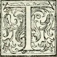 An illustration from Architettura ciuile demostratiuamente proportionata et accresciuta di nuoue regole : con l'vso delle quali si facilita l'inuentione d'ogni douuta proportione nelli cinque ordini, e col ritrouamento d'vn nuouo strumento angolare, si da il modo à gl'operarij medesimi di pratticamente stabilire le sacome in ogni loro necessario contorno (1661)