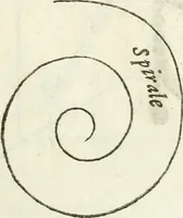 An illustration from Architettura ciuile demostratiuamente proportionata et accresciuta di nuoue regole : con l'vso delle quali si facilita l'inuentione d'ogni douuta proportione nelli cinque ordini, e col ritrouamento d'vn nuouo strumento angolare, si da il modo à gl'operarij medesimi di pratticamente stabilire le sacome in ogni loro necessario contorno (1661)