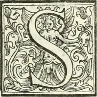An illustration from Architettura ciuile demostratiuamente proportionata et accresciuta di nuoue regole : con l'vso delle quali si facilita l'inuentione d'ogni douuta proportione nelli cinque ordini, e col ritrouamento d'vn nuouo strumento angolare, si da il modo à gl'operarij medesimi di pratticamente stabilire le sacome in ogni loro necessario contorno (1661)