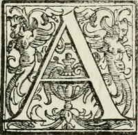 An illustration from Architettura ciuile demostratiuamente proportionata et accresciuta di nuoue regole : con l'vso delle quali si facilita l'inuentione d'ogni douuta proportione nelli cinque ordini, e col ritrouamento d'vn nuouo strumento angolare, si da il modo à gl'operarij medesimi di pratticamente stabilire le sacome in ogni loro necessario contorno (1661)
