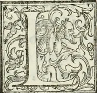 An illustration from Architettura ciuile demostratiuamente proportionata et accresciuta di nuoue regole : con l'vso delle quali si facilita l'inuentione d'ogni douuta proportione nelli cinque ordini, e col ritrouamento d'vn nuouo strumento angolare, si da il modo à gl'operarij medesimi di pratticamente stabilire le sacome in ogni loro necessario contorno (1661)