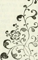 An illustration from Architettura ciuile demostratiuamente proportionata et accresciuta di nuoue regole : con l'vso delle quali si facilita l'inuentione d'ogni douuta proportione nelli cinque ordini, e col ritrouamento d'vn nuouo strumento angolare, si da il modo à gl'operarij medesimi di pratticamente stabilire le sacome in ogni loro necessario contorno (1661)