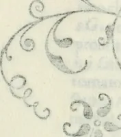 An illustration from Architettura ciuile demostratiuamente proportionata et accresciuta di nuoue regole : con l'vso delle quali si facilita l'inuentione d'ogni douuta proportione nelli cinque ordini, e col ritrouamento d'vn nuouo strumento angolare, si da il modo à gl'operarij medesimi di pratticamente stabilire le sacome in ogni loro necessario contorno (1661)