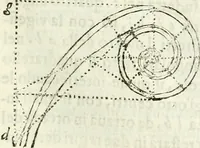 An illustration from Architettura ciuile demostratiuamente proportionata et accresciuta di nuoue regole : con l'vso delle quali si facilita l'inuentione d'ogni douuta proportione nelli cinque ordini, e col ritrouamento d'vn nuouo strumento angolare, si da il modo à gl'operarij medesimi di pratticamente stabilire le sacome in ogni loro necessario contorno (1661)