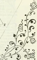 An illustration from Architettura ciuile demostratiuamente proportionata et accresciuta di nuoue regole : con l'vso delle quali si facilita l'inuentione d'ogni douuta proportione nelli cinque ordini, e col ritrouamento d'vn nuouo strumento angolare, si da il modo à gl'operarij medesimi di pratticamente stabilire le sacome in ogni loro necessario contorno (1661)