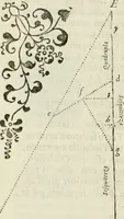An illustration from Architettura ciuile demostratiuamente proportionata et accresciuta di nuoue regole : con l'vso delle quali si facilita l'inuentione d'ogni douuta proportione nelli cinque ordini, e col ritrouamento d'vn nuouo strumento angolare, si da il modo à gl'operarij medesimi di pratticamente stabilire le sacome in ogni loro necessario contorno (1661)